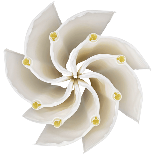 ZOTEE DE Filter Grid