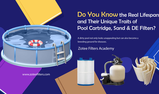 Do You Know the real Lifespan and Their Unique Traits of Pool Cartridge, Sand, and DE Filters?