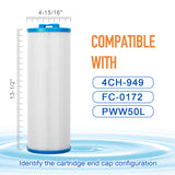 ZOTEE 50 sq.ft. Rising Dragon Spa Replacement Filter Cartridge