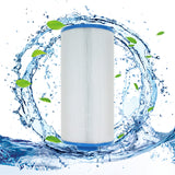 ZOTEE 40 sq.ft. Del Sol Spas Spa Filter Cartridge 2 Pack