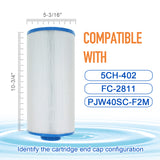 ZOTEE 40 sq.ft. Del Sol Spas Spa Filter Cartridge 2 Pack